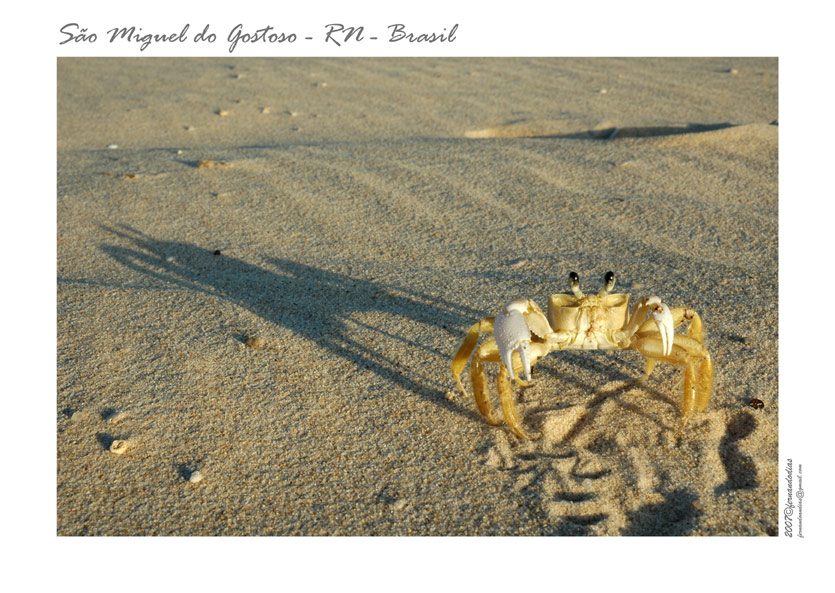 photo "Praia do Gostoso - RN - Brazil" tags: travel, South America