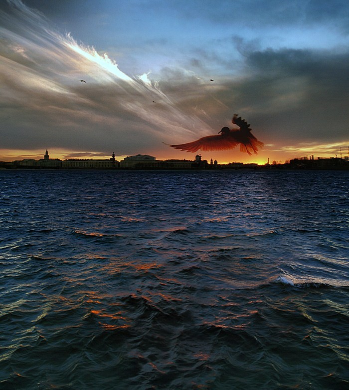 photo "Phoenix" tags: landscape, sunset, water