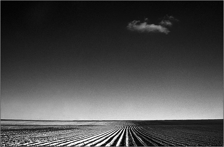 photo "rural" tags: landscape, black&white, 