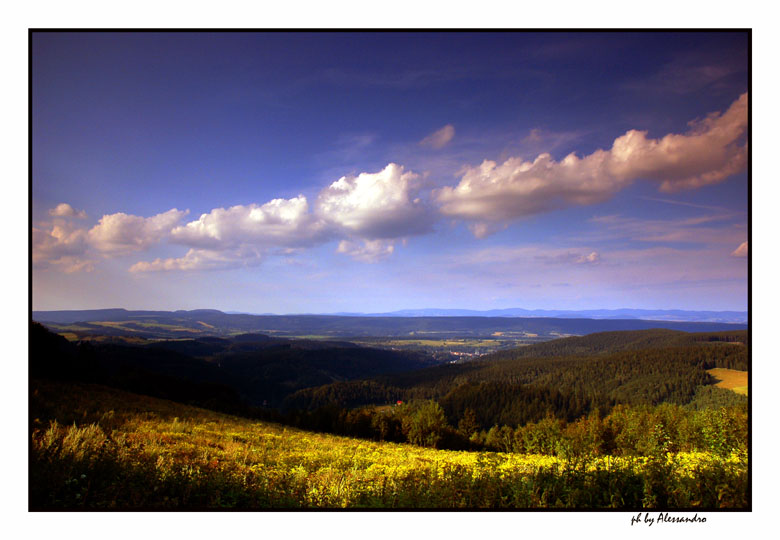 photo "my land" tags: landscape, 