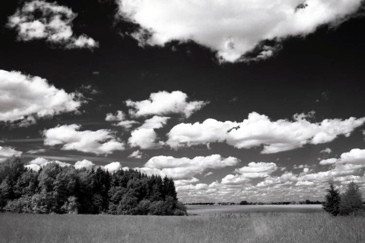 фото "ПРОСТОРЫ" метки: пейзаж, 