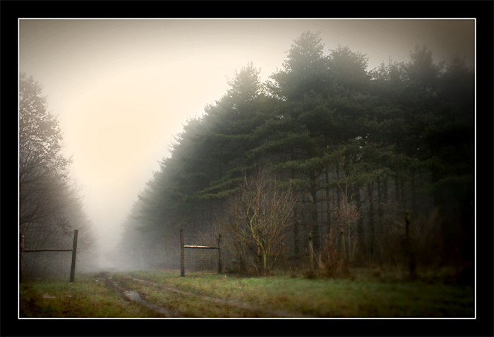 фото "***" метки: пейзаж, 