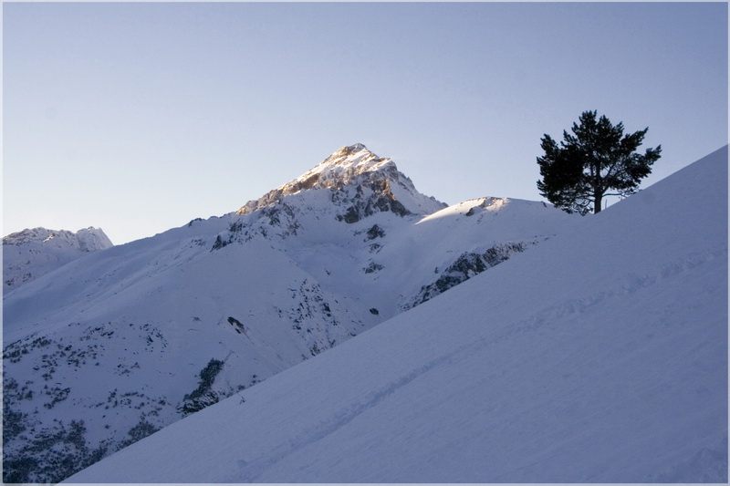 photo "сосна" tags: landscape, travel, mountains