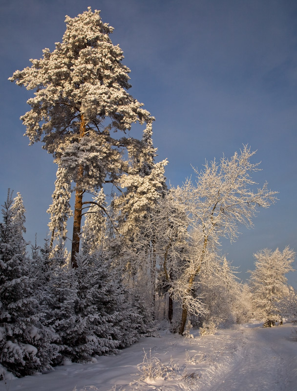 photo "***" tags: landscape, winter