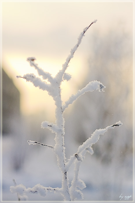 photo "***" tags: landscape, sunset, winter