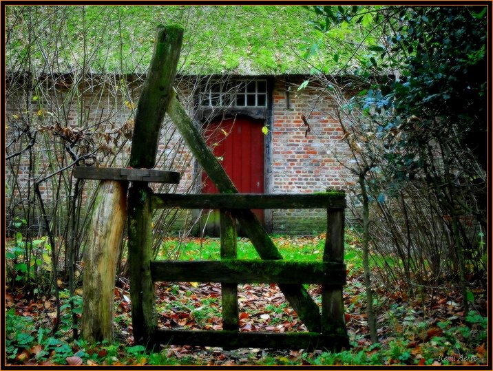 photo "old door" tags: architecture, landscape, 