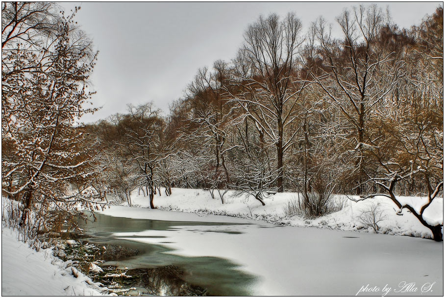 фото "Первый снег" метки: пейзаж, зима, лес