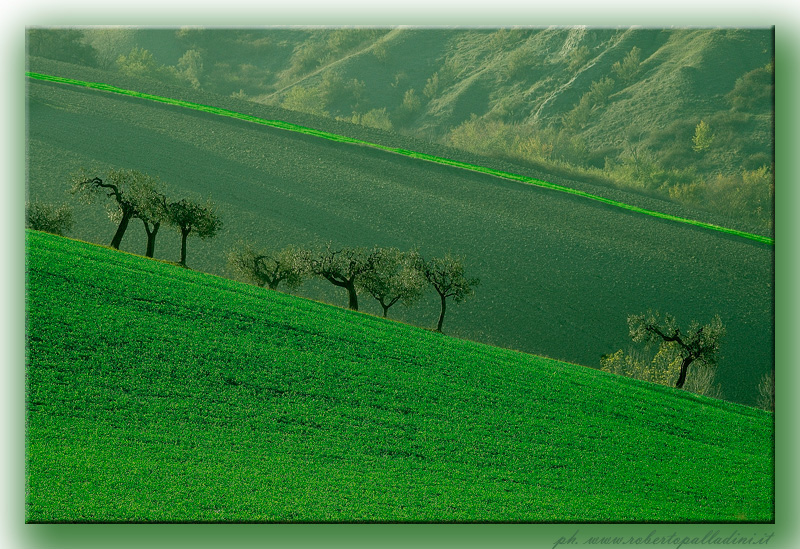 photo "green landscape" tags: landscape, mountains