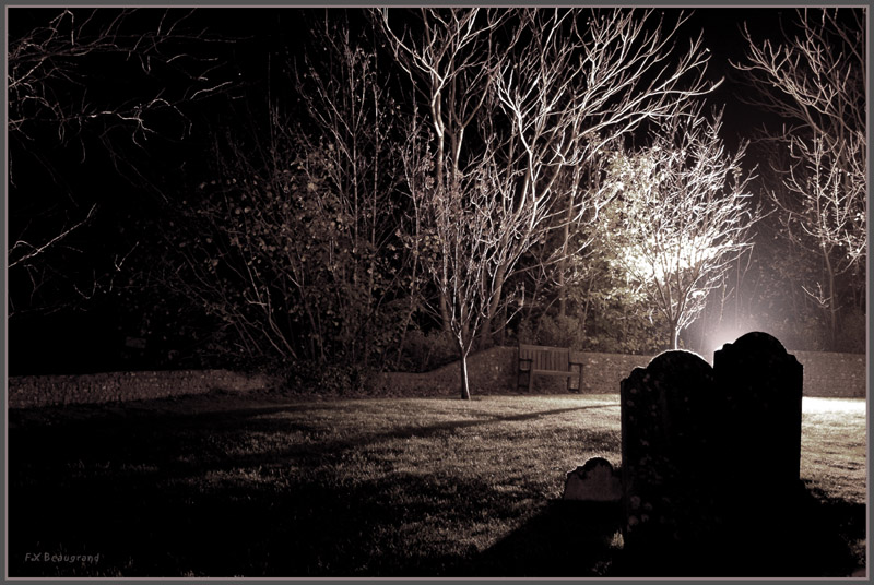 photo "The dead can dance" tags: landscape, night