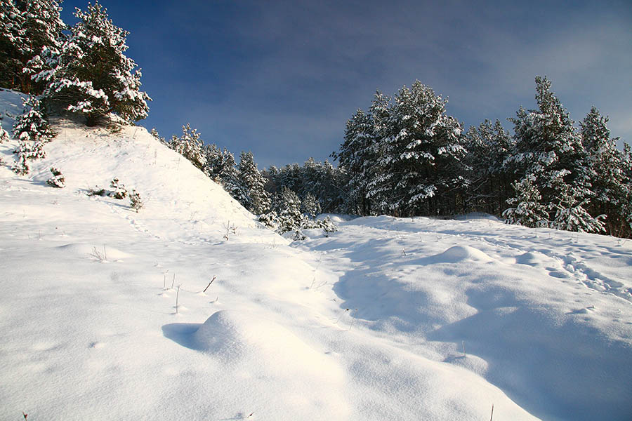 фото "Зимние краски" метки: пейзаж, зима, лес