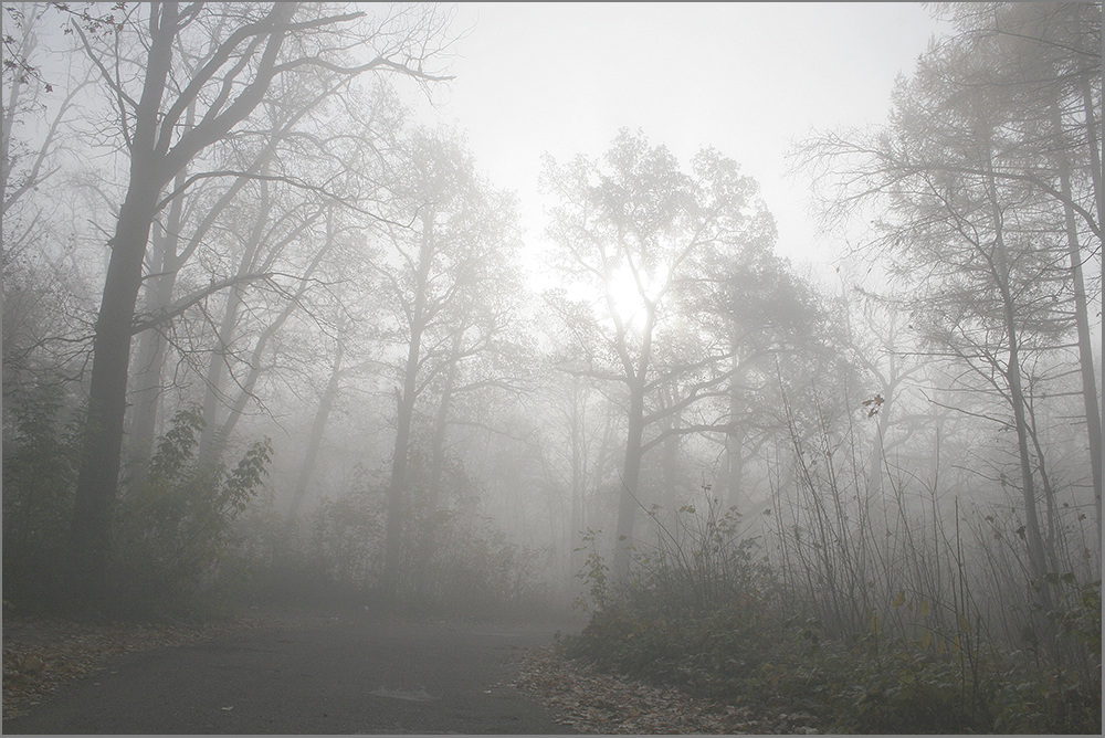 фото "Утро туманное..." метки: пейзаж, осень