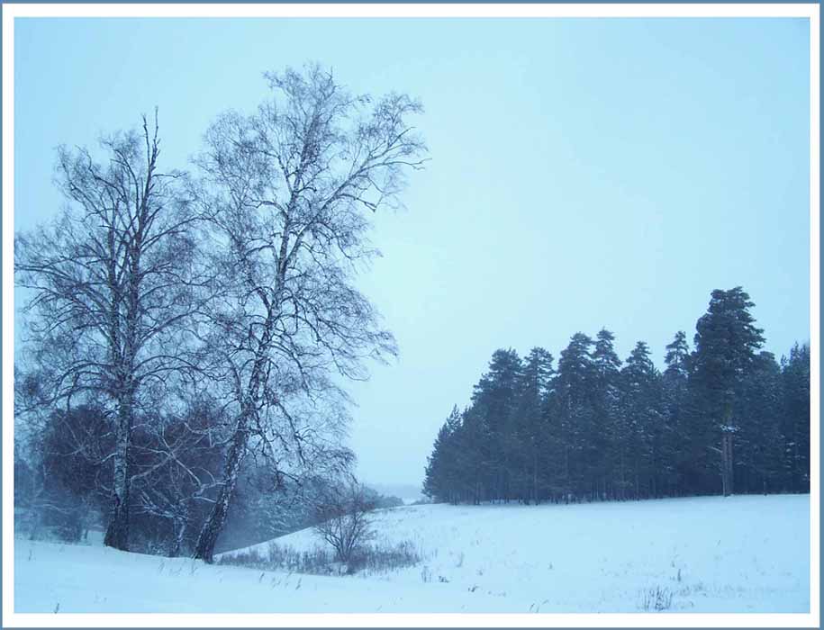 фото "Зимний пейзаж" метки: пейзаж, 