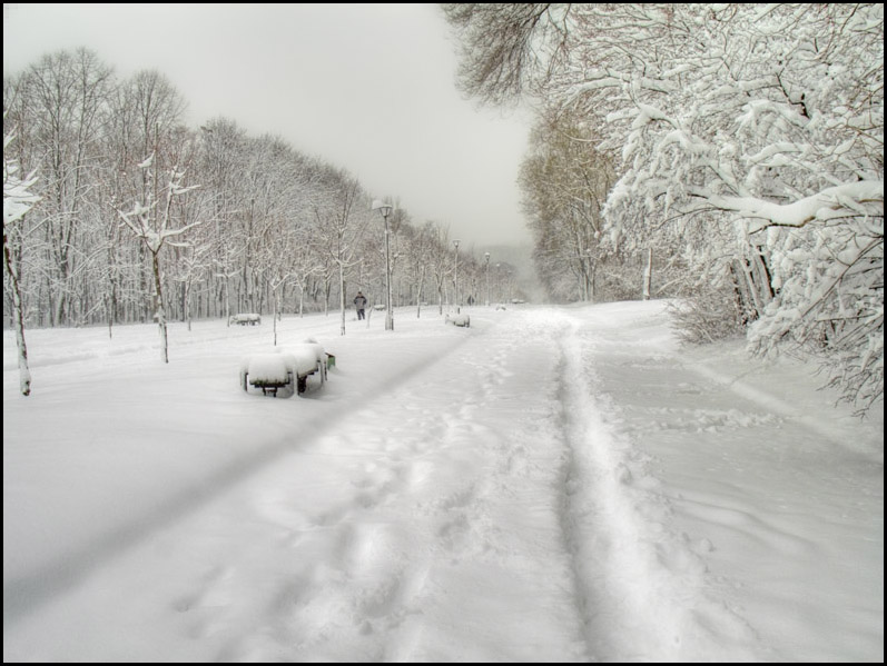 фото "у нас шел снег" метки: пейзаж, зима