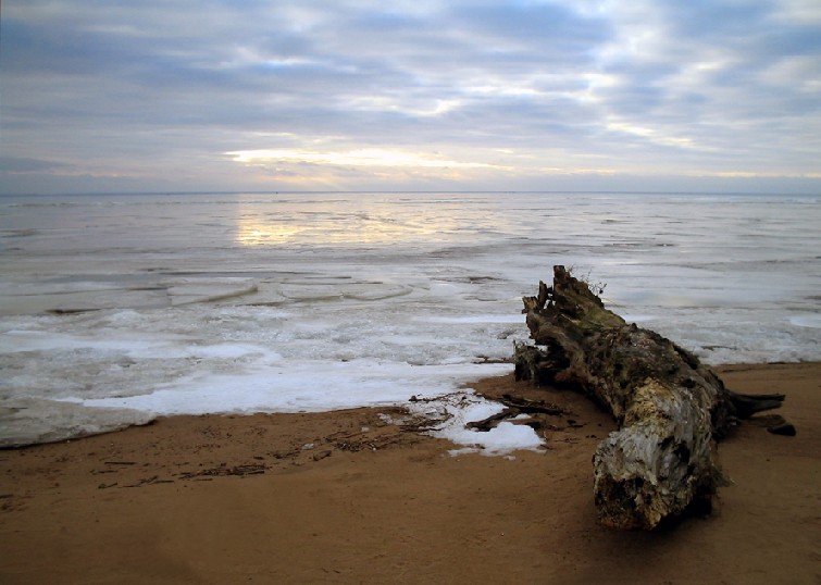 фото "Потерянное существо" метки: пейзаж, вода, зима