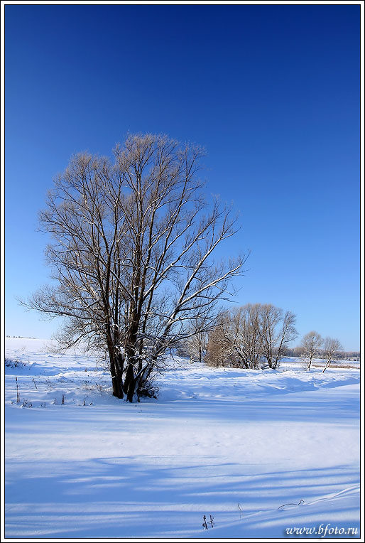 photo "Зимний пейзаж" tags: landscape, forest, winter