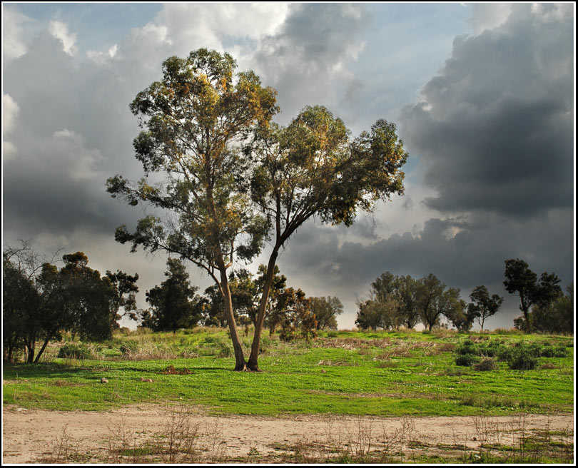 photo "***" tags: landscape, clouds, spring