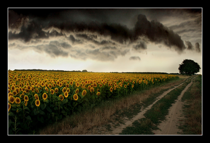 фото "***" метки: пейзаж, 