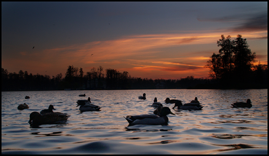 photo "***" tags: landscape, misc., water