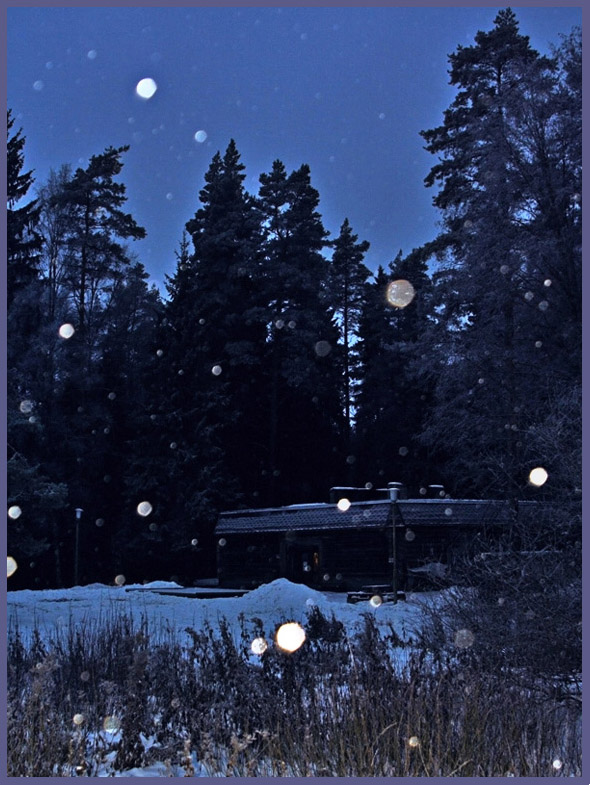 photo "Winter fairy-tale" tags: landscape, night, winter