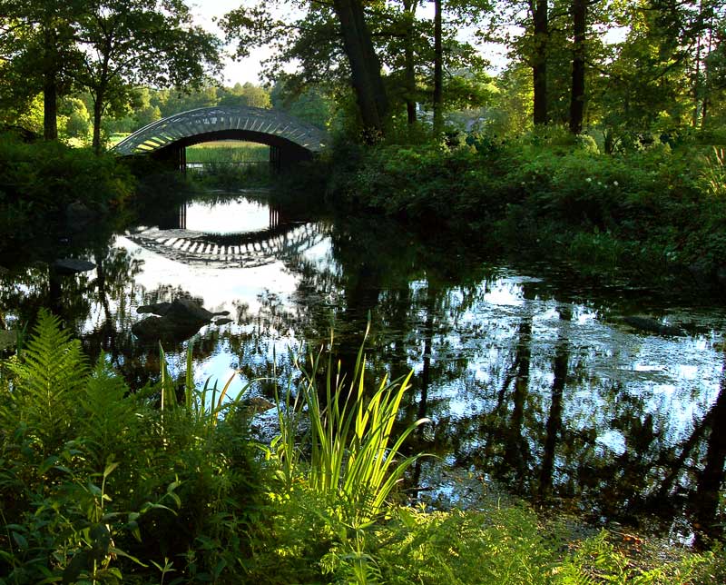 photo "***" tags: landscape, summer, water