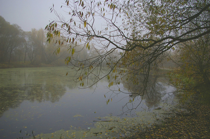 photo "***" tags: landscape, water