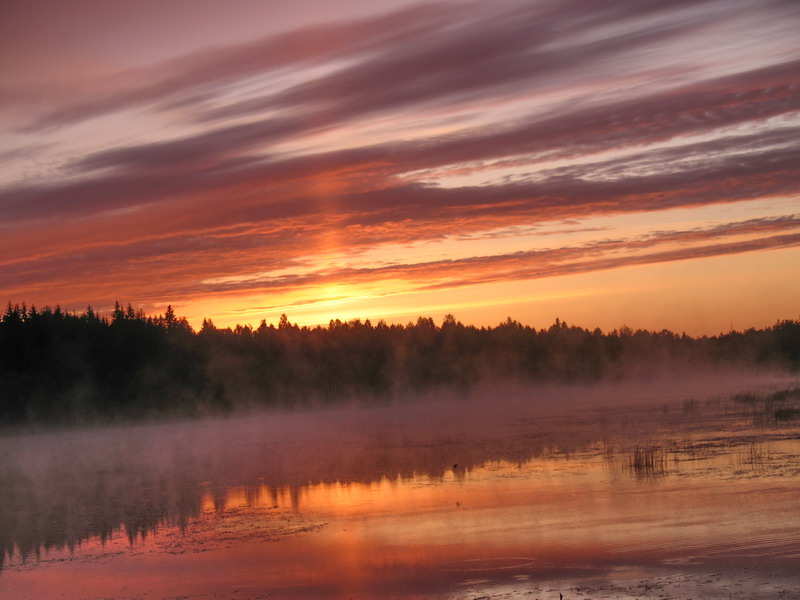 фото "Рассвет на болоте" метки: пейзаж, ночь