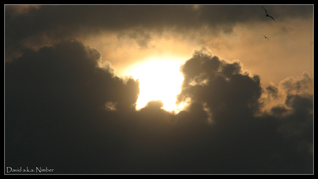 photo "freedom" tags: landscape, clouds, sunset