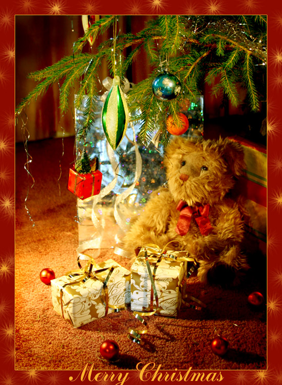 photo "Merry Christmas everybody!" tags: misc., 