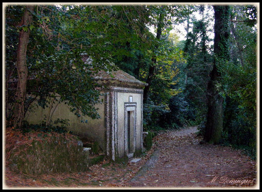 фото "Path of the forest" метки: пейзаж, лес