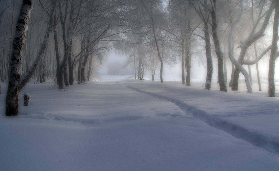 photo "***" tags: landscape, forest, winter