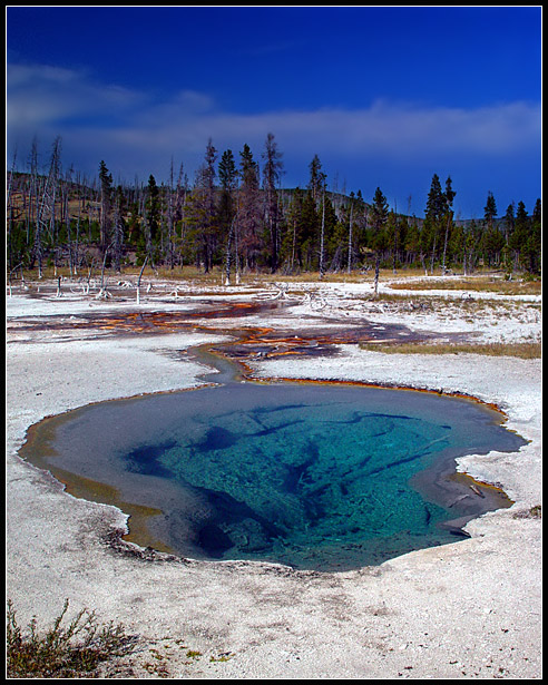 photo "Yellowstone Mouse" tags: landscape, travel, water