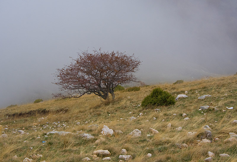 photo "***" tags: landscape, mountains