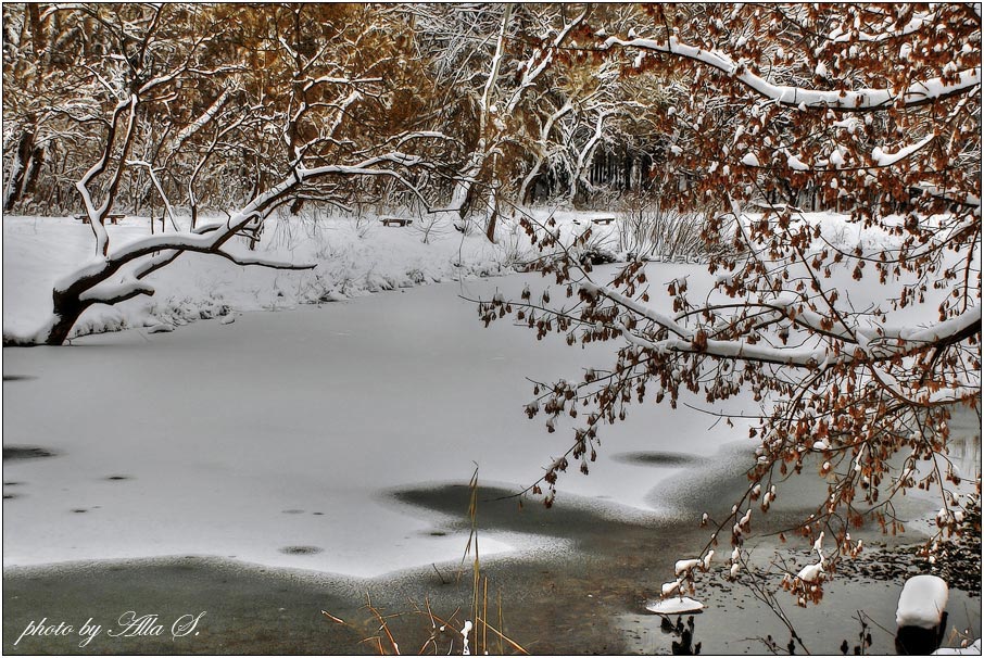 photo "***" tags: landscape, winter