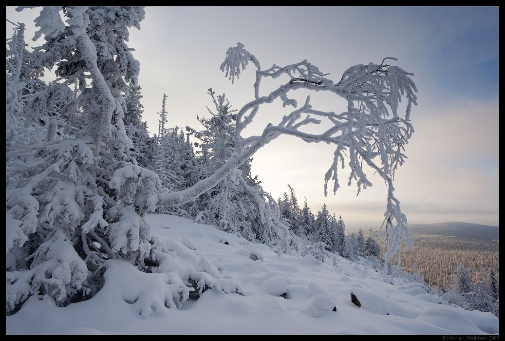 photo "Belaya Mt / 0183_0046" tags: landscape, forest, winter