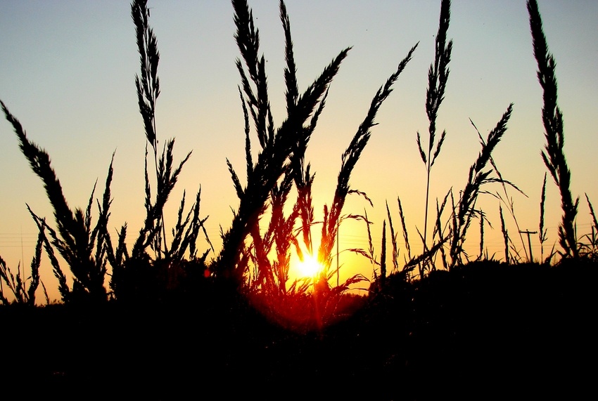 фото "Закат&Mакро" метки: пейзаж, закат, лето