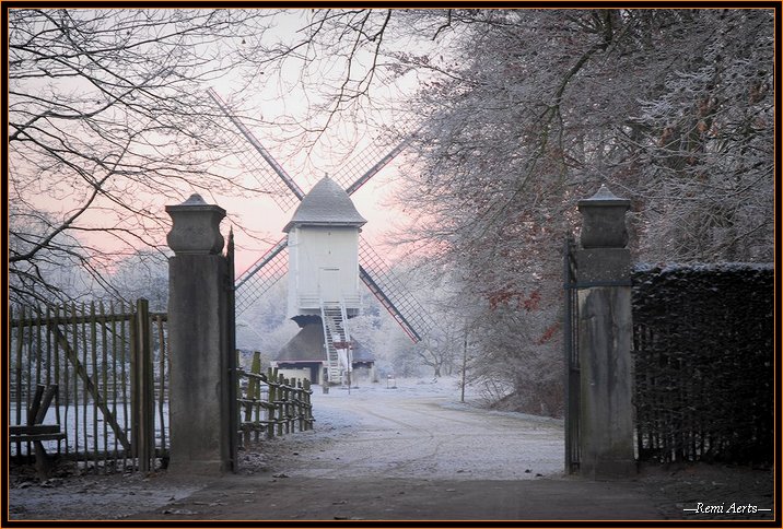 фото "one cold day!" метки: архитектура, пейзаж, зима