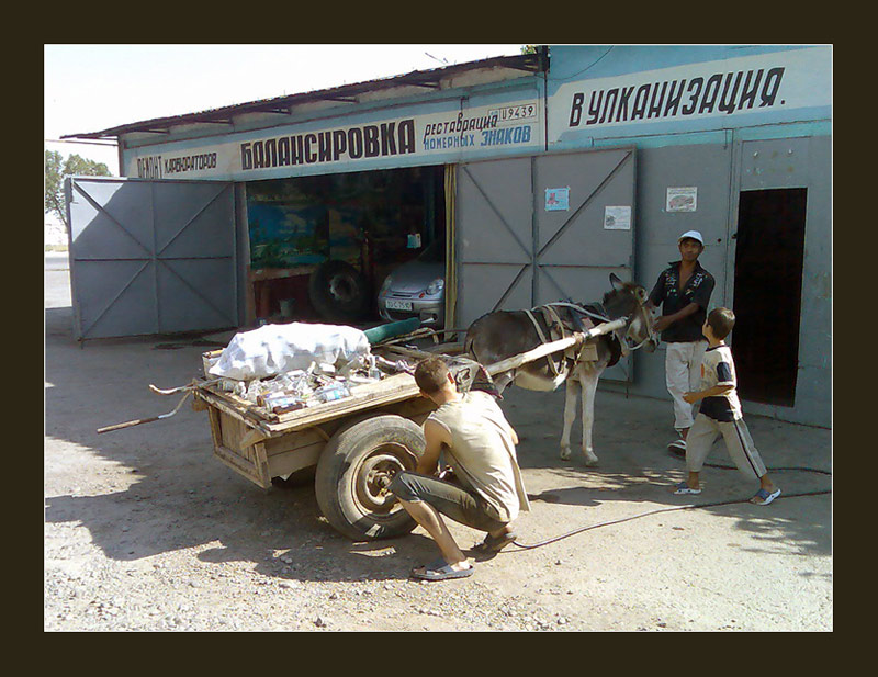 Узбекские прикол картинки