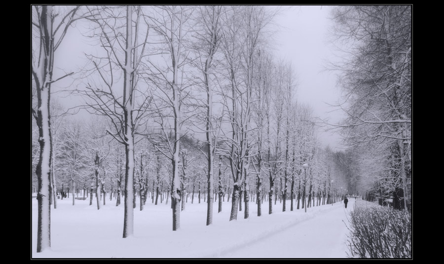 photo "***" tags: landscape, black&white, winter