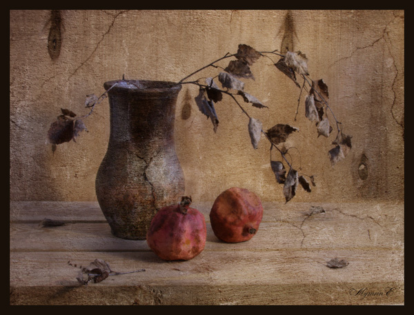 photo "***" tags: still life, 