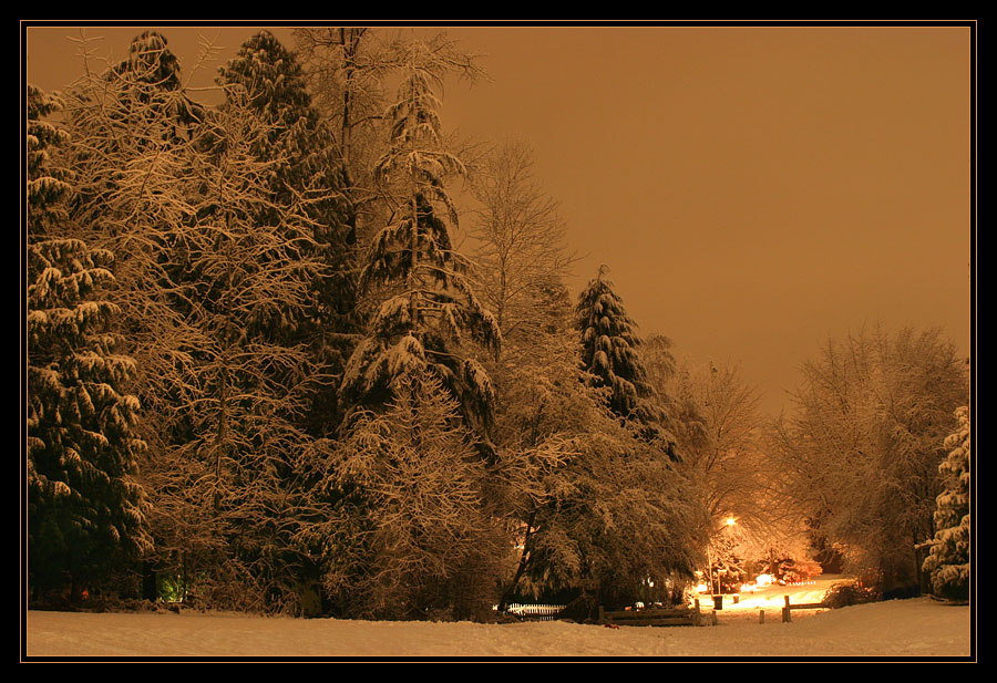 фото "Полночь. После снегопада...." метки: пейзаж, зима, ночь