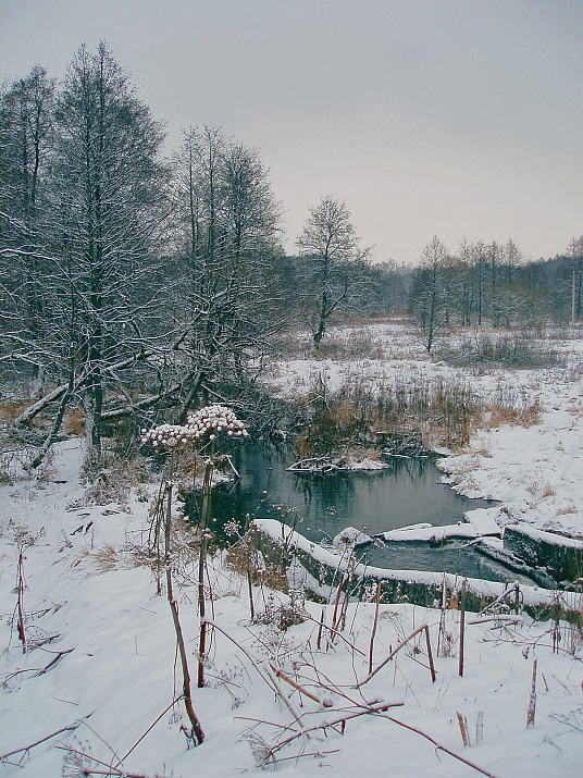 фото "Графика безмолвия  (5)" метки: пейзаж, зима