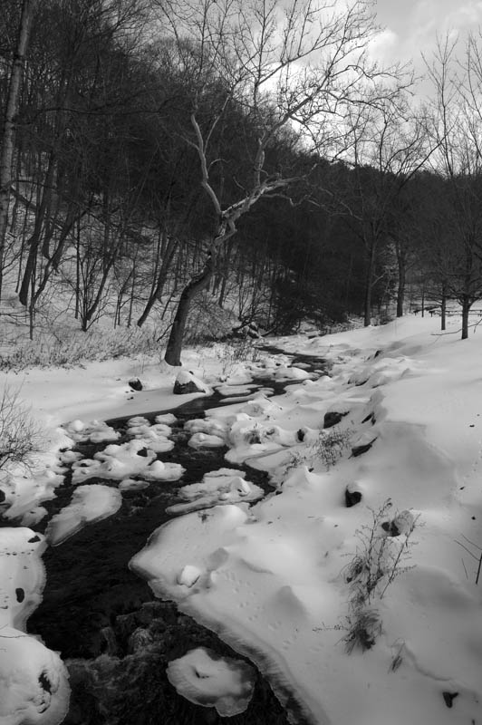 photo "Winter Stream" tags: landscape, water