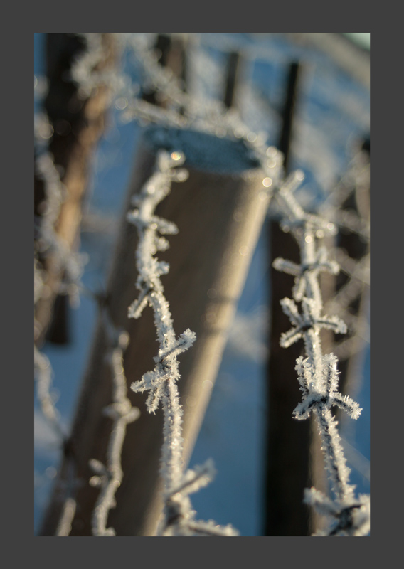 photo "***" tags: landscape, macro and close-up, winter