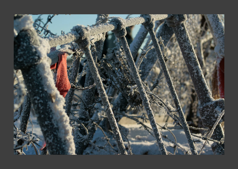 photo "***" tags: still life, landscape, winter