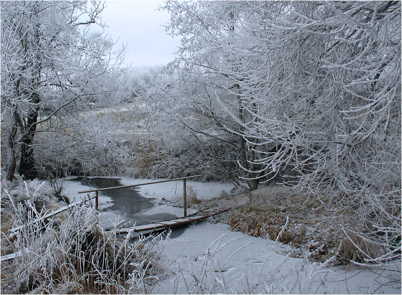 photo "***" tags: landscape, winter