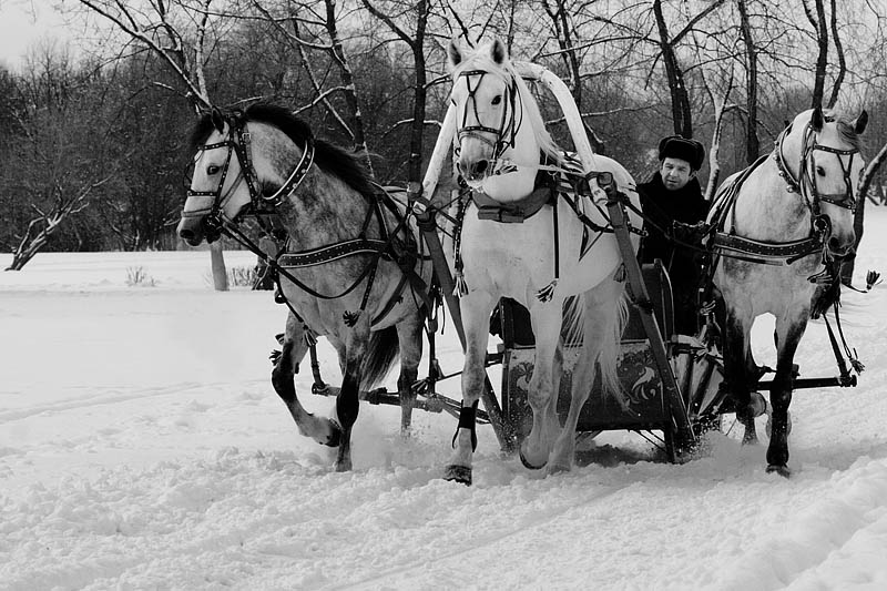 фото "тройка" метки: черно-белые, разное, 