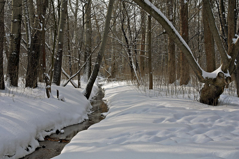 photo "***" tags: landscape, winter