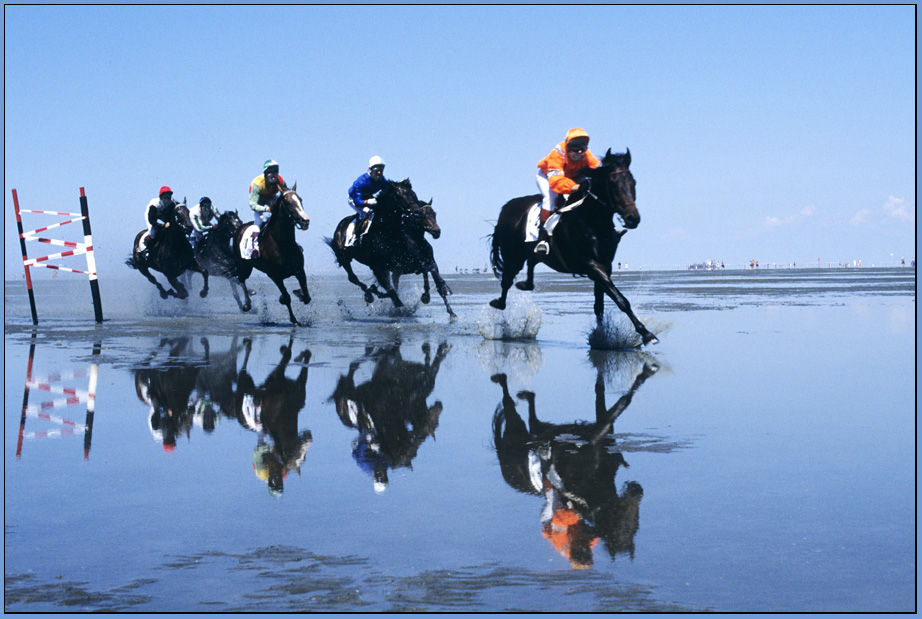 фото "Horse-race in the mudflats" метки: пейзаж, спорт, вода