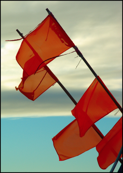 photo "flags - happy new year, all!" tags: still life, landscape, clouds