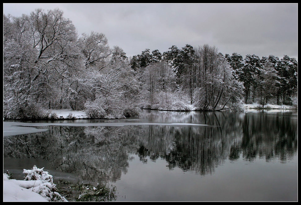 photo "Lace" tags: , 